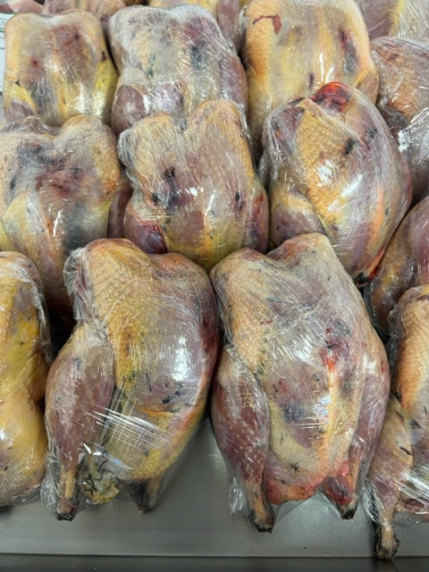 Pheasant - whole